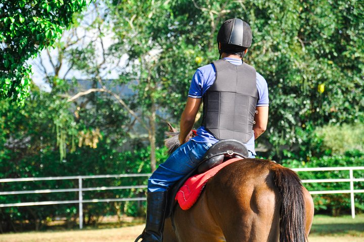 Horse Riding for Professionals from Negombo - Photo 1 of 6